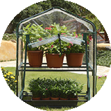 Home and Garden