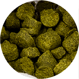 Beer brewing