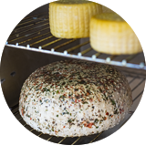Cheesemaking